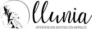 LLUNIA Logo